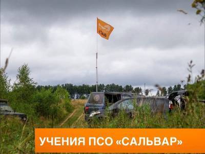 Смоленские поисковики проведут большие тактические учения - rabochy-put.ru