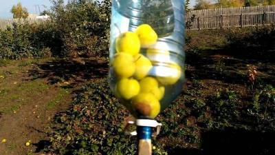 3 способа сделать плодосъемник из швабры и пластиковой бутылки - skuke.net