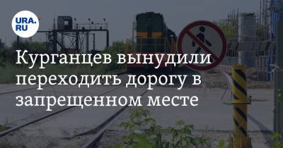 Курганцев вынудили переходить дорогу в запрещенном месте. «Полиция выписывает штрафы» - ura.news - Курганская обл. - Шадринск