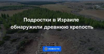Подростки в Израиле обнаружили древнюю крепость - news.mail.ru - Израиль - Египет - Иерусалим