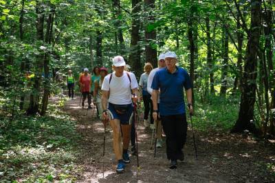 81-летнего смолянина избили палкой для скандинавской ходьбы - rabochy-put.ru - Смоленск