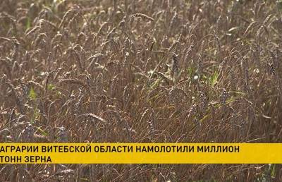 Урожай-2020: в Витебской области аграрии убрали миллион тонн зерна - ont.by - Витебск - район Верхнедвинский