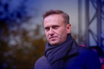 Алексей Навальный - Штеффена Зайберта - Правительство Германии: Навальный был отравлен “Новичком” - aussiedlerbote.de - Москва - Россия - Германия - Берлин