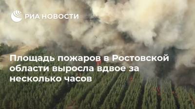 Площадь пожаров в Ростовской области выросла вдвое за несколько часов - ria.ru - Москва - Россия - Ростовская обл. - район Белокалитвинский