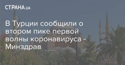 В Турции сообщили о втором пике первой волны коронавируса - Минздрав - strana.ua - Турция - Анкара - Стамбул