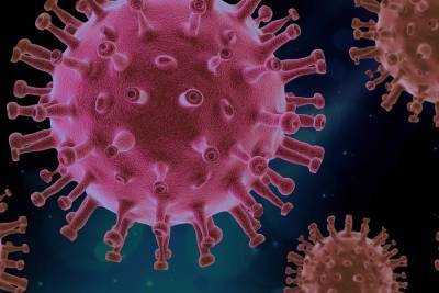 Феликс Ершов - Вирусолог заявил, что коронавирус в России распространяется не как в других странах - abnews.ru - Россия