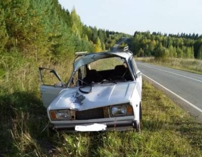 В Прикамье автомобиль сбил лося, пострадали двое - nakanune.ru