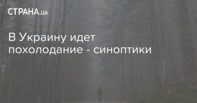 Наталья Диденко - В Украину идет похолодание - синоптики - strana.ua - Украина