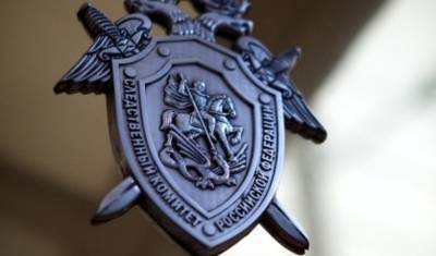 «Били всем подряд»: новосибирский СК проверит сообщение об избиении полицейскими - newizv.ru - Новосибирск