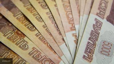 Новосибирский депутат попросила подписчиков в Facebook скинуться ей на печь - newinform.com - Новосибирск