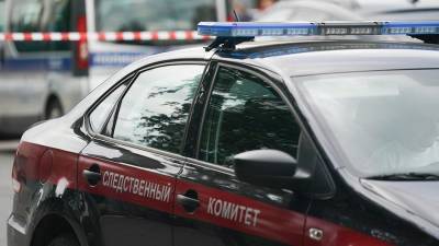 В Подмосковье нашли могилу самовольно захороненного младенца - iz.ru - Москва - Россия - Московская обл.