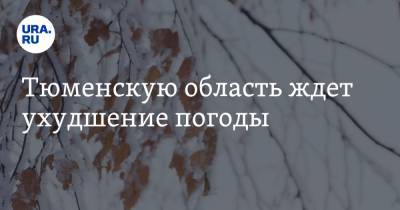 Тюменскую область ждет ухудшение погоды - ura.news - Тюмень - Тюменская обл.