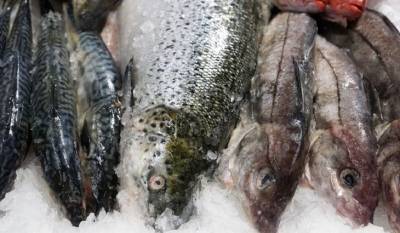 В Китае на морепродуктах из России обнаружили коронавирус - mirnov.ru - Россия - Китай