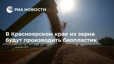 В Красноярском крае из зерна будут производить биопластик - ria.ru - Москва - Красноярский край