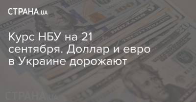 Курс НБУ на 21 сентября. Доллар и евро в Украине дорожают - strana.ua - Украина