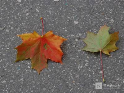 Потепление до +19°C придет в Нижний Новгород на этой неделе - vgoroden.ru - Нижний Новгород - Нижний Новгород