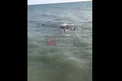 В Сочи турист утонул на глазах у всего пляжа - kuban.mk.ru - Сочи