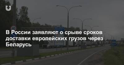 В России заявляют о срыве сроков доставки европейских грузов через Беларусь - news.tut.by - Россия - Белоруссия - Литва