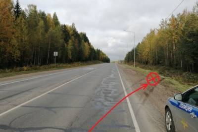 В Сыктывдинском районе подросток сел за руль и врезался в опору ЛЭП - bnkomi.ru - респ. Коми - Чебоксары - Сыктывкар