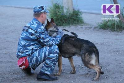 Никита Нестеров - В Корткеросском районе служебная собака помогла полицейским раскрыть серию дачных краж - komiinform.ru - респ. Коми