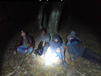 В Словакии задержали нелегалов с украинским проводником - golos.ua - Сирия - Украина - Словакия - Камерун - Эритрея - Сомали