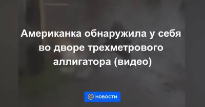 Американка обнаружила у себя во дворе трехметрового аллигатора (видео) - news.mail.ru - США - шт.Флорида - штат Алабама