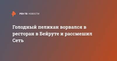 Голодный пеликан ворвался в ресторан в Бейруте и рассмешил Сеть - ren.tv - Бейрут