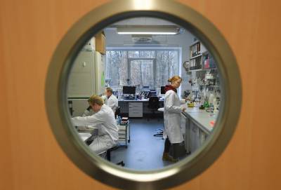 Ханс Клюге - ВОЗ оценила работу России по борьбе с COVID-19 - tvc.ru - Россия