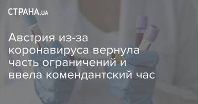 Австрия из-за коронавируса вернула часть ограничений и ввела комендантский час - strana.ua - Австрия