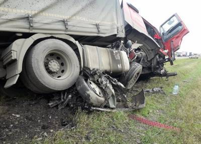 Уходили от полицейской погони: в ДТП с фурой под Иркутском погибли пять человек - province.ru - Россия - Иркутская обл. - Иркутск