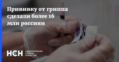 Анна Попова - Прививку от гриппа сделали более 16 млн россиян - nsn.fm - Россия