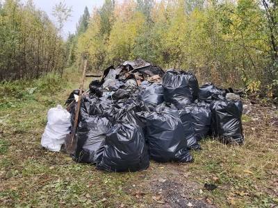 Активисты ОНФ в Коми ликвидировали свалку и высадили саженцы сосны в Корткеросском лесу - komiinform.ru - Россия - респ. Коми