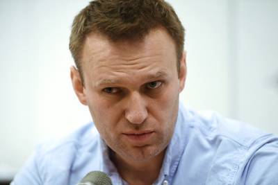 Александр Зорин - «Россию будущего» Навального ликвидировали - lenta.ru - Россия
