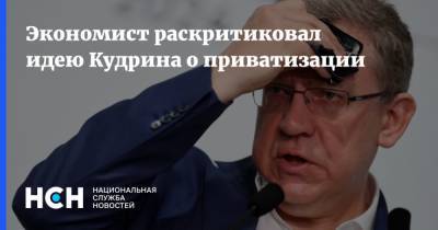 Алексей Кудрин - Никита Кричевский - Экономист раскритиковал идею Кудрина о приватизации - nsn.fm - Россия