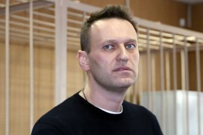 Алексей Навальный - Кира Ярмыш - МВД: по делу Навального опросили 200 человек - mk.ru - Германия - Томск