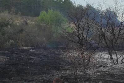 В Севастополе пожар уничтожил 1,5 гектара леса - crimea.mk.ru - Крым - Севастополь