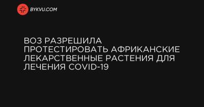ВОЗ разрешила протестировать африканские лекарственные растения для лечения COVID-19 - bykvu.com