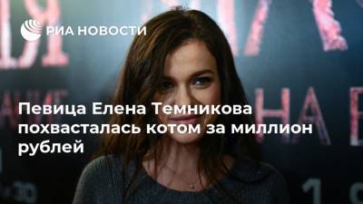 Елена Темникова - Певица Елена Темникова похвасталась котом за миллион рублей - ria.ru - Москва
