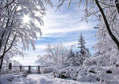 Морозы до -20°C скуют Чехию в выходные - vinegret.cz - Чехия