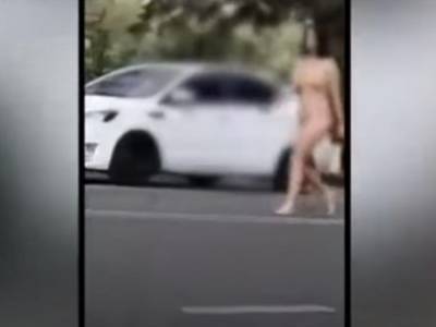 Российская телеведущая обнажилась и голой кусала медиков и полицейских - golos.ua - Россия - Московская обл. - Раменское