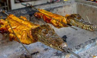 Южно-Африканская Республика хочет экспортировать в Украину мясо крокодилов - capital.ua - Украина - Юар