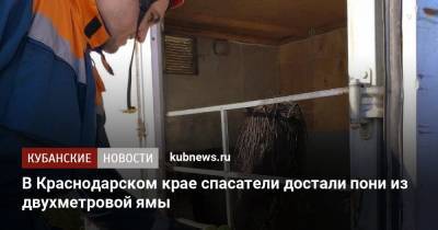 В Краснодарском крае спасатели достали пони из двухметровой ямы - kubnews.ru - Краснодарский край - Новороссийск - Белореченск