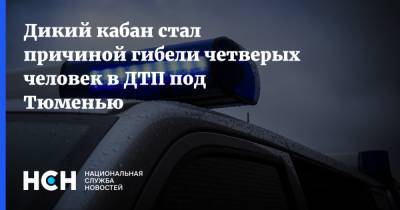 Дикий кабан стал причиной гибели четверых человек в ДТП под Тюменью - nsn.fm - Тюмень - Тюменская обл.