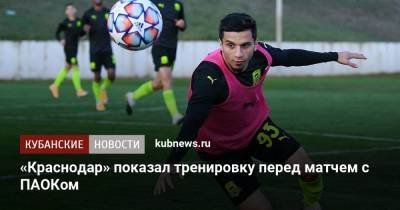 «Краснодар» показал тренировку перед матчем с ПАОКом - kubnews.ru - Краснодар