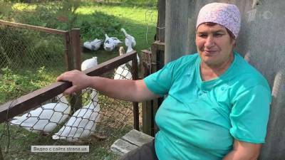 Александр Лукашенко - Светлана Тихановская - Украинские журналисты расспросили сограждан в селах на границе с Белоруссией, как им живется - 1tv.ru - Украина - Белоруссия - Минск - Брюссель