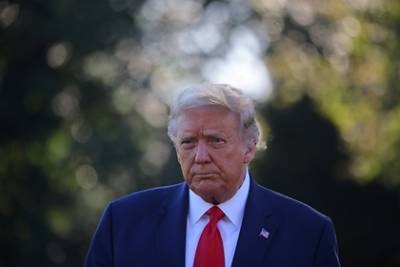 Дональд Трамп - Алексей Навальный - Майк Помпео - Трамп отказался отвечать на вопрос о Навальном - lenta.ru - Москва - США - Вашингтон - Омск - Томск
