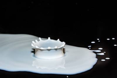 В Сингапуре на 3D-принтере распечатали еду из сухого молока - abnews.ru - Санкт-Петербург - Сингапур - Ufa