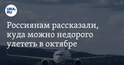 Россиянам рассказали, куда можно недорого улететь в октябре - ura.news - Москва - Санкт-Петербург - Сочи - Краснодар - Екатеринбург - Воронеж - Минеральные Воды - Астрахань - Калуга