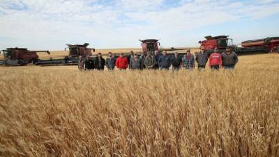 Когда у фермера случился приступ посреди поля, соседи собрали урожай за него - usa.one - штат Северная Дакота