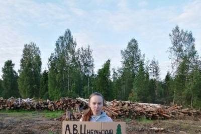 Александр Цыбульский - Цыбульский не слышит активистов, которые хотят сохранить архангельские леса - chel.mk.ru - Архангельская обл.